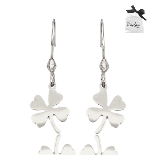 BOUCLES LUCKY ARGENTEES